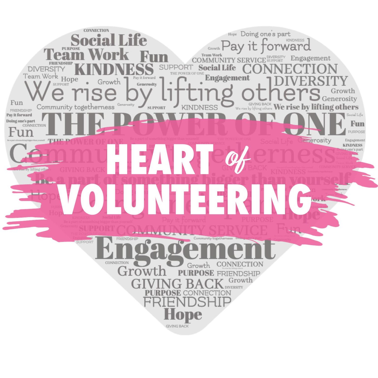 volunteer-program-lotus-network